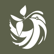 Anchorage Park Foundation logo