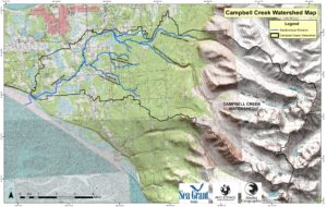 CampbellCreek_AnadromousStream