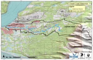 ChesterCreekAnadromous