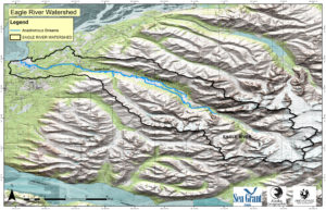 EagleRiver_AnadromousStream