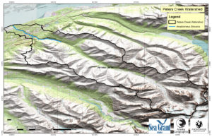 PetersCreekAnadromousStreams