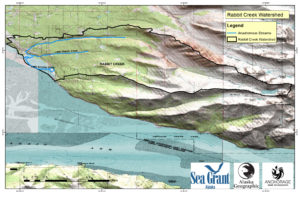 RabbitCreekAnadromous